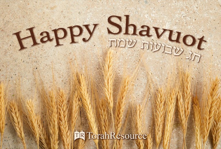 TorahResource Shavuot Postcard, Front, 2024
