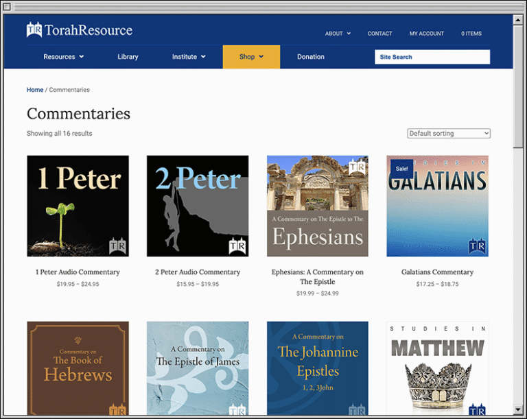 tr-website-store-landing